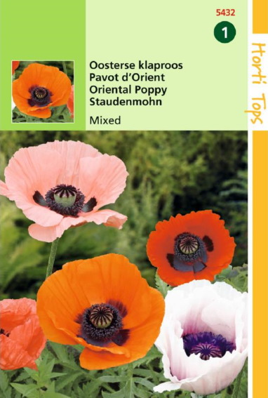 Papaver orientale - Oriental Poppy - 600 seeds HT